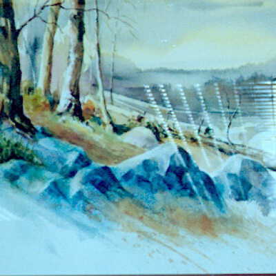 Untitled (fallen tree with 3 rocks)