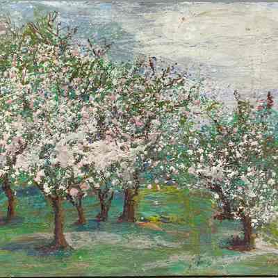 Spring Orchard