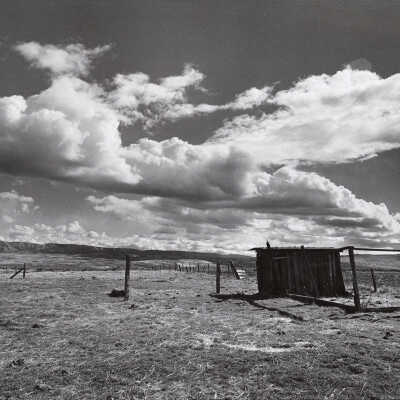 Untitled (old shack)
