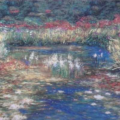 Lily Pond