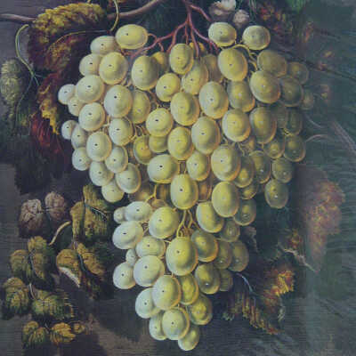 First Premium Grapes
