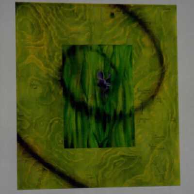 Apollinaris Spring