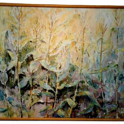 Corn Patch
