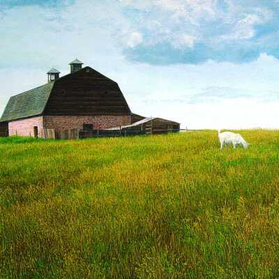 Goat Farm