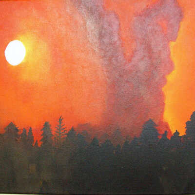 Forest Fire