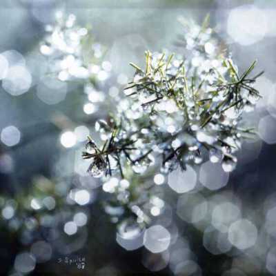 Droplets and Ghosts