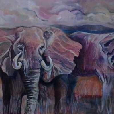 Elephants