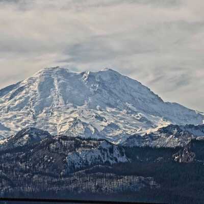 Rainier from Raven's Roost