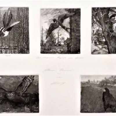 5 Birds of Russia (45/50)
