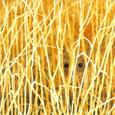 Untitled (eyes in grass)