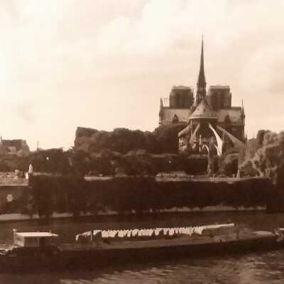 Paris Notre Dame