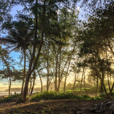 Anahola Morning