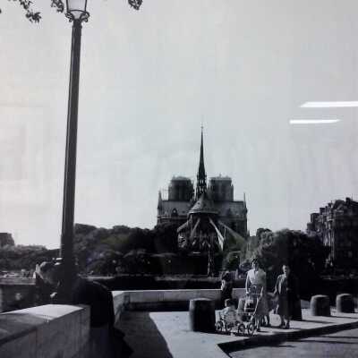 Notre Dame from Isle of St. Louie
