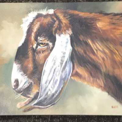 Godfrey the Goat