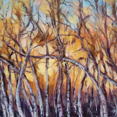 Winter Sunset
