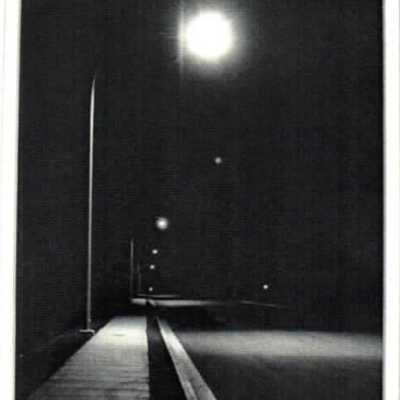 Night Lights