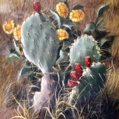 Untitled (red/yellow cactus flowers)