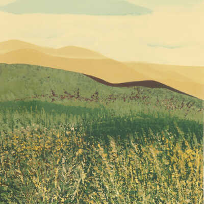 Untitled (hills)