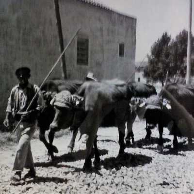 Roadwork - Spain