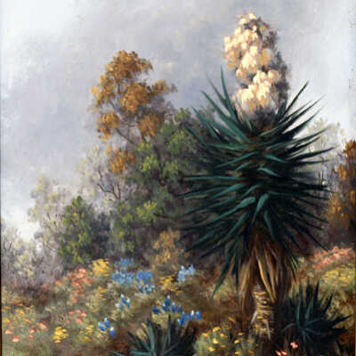 Untitled (spikes topped with white flowers)