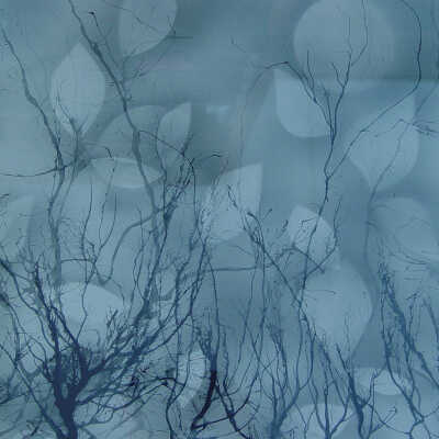 Untitled (gray leaves)