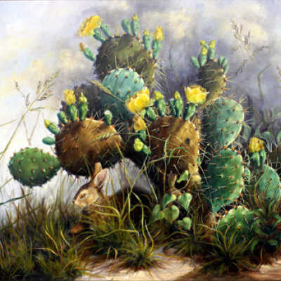 Untitled (rabbit in cactus)