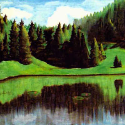 Tipsoa Reflection