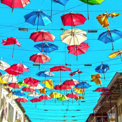 Umbrella Sky
