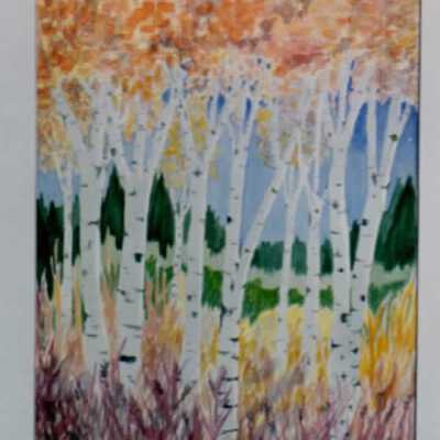 Aspen Grove