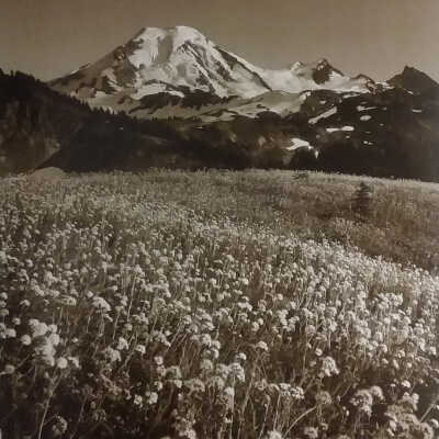 Mount Baker
