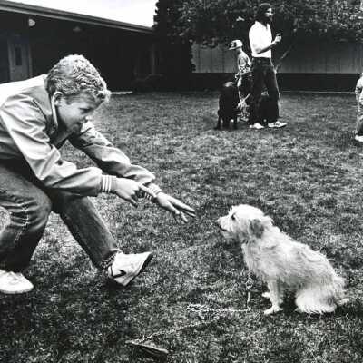 Dog Obedience Class