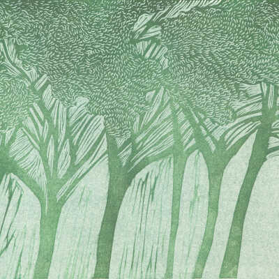 Tuscany Trees