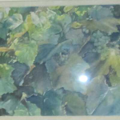 August Vine