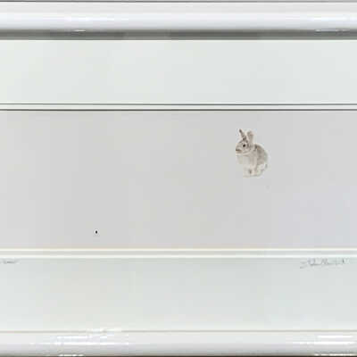 Rabbit