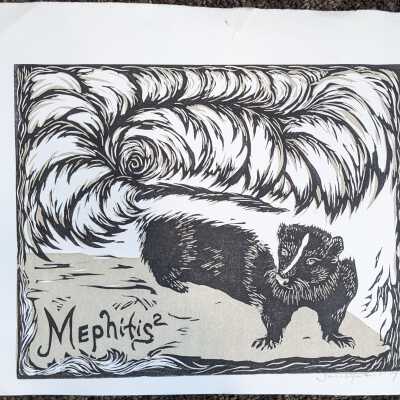 Mephitis