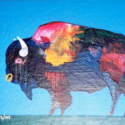 Buffalo Medicine