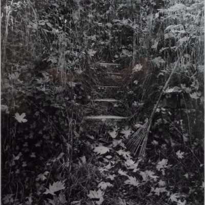 Garden Stairway With Rake