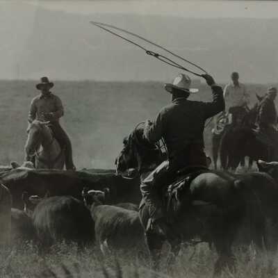 Untitled (cowboys)
