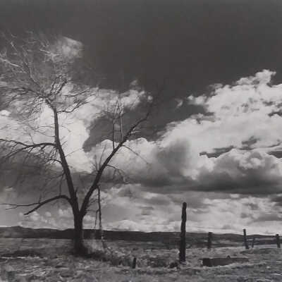 Untitled (broken fence)