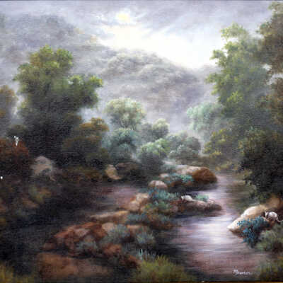 Untitled (rocks and bushes)