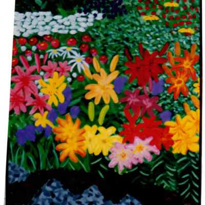 Lilies