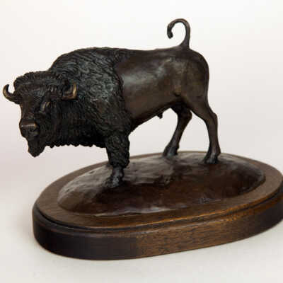 Small Bison