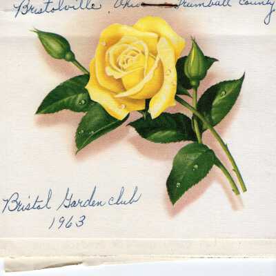Bristol Garden Club, 1963