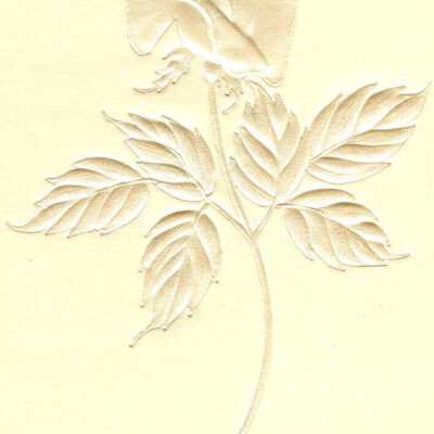 Wedding Invitation, 1985