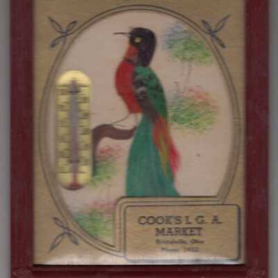 Framed picture ad