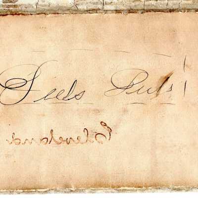 Envelope,1893