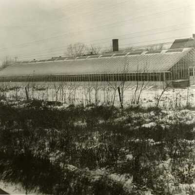 Hoffmann Greenhouse at 262 Eggleston Avenue