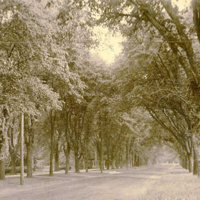 Cottage Hill Avenue