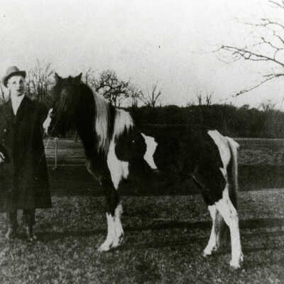 Adolf Katz and Pony