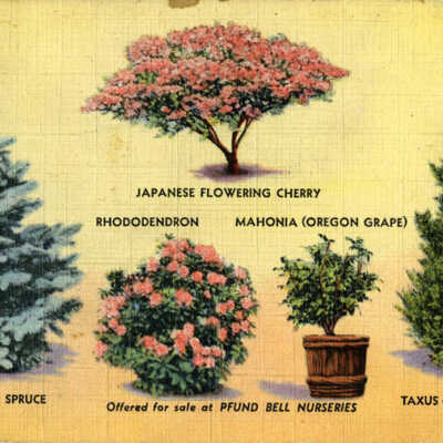 Pfund Bell Nurseries